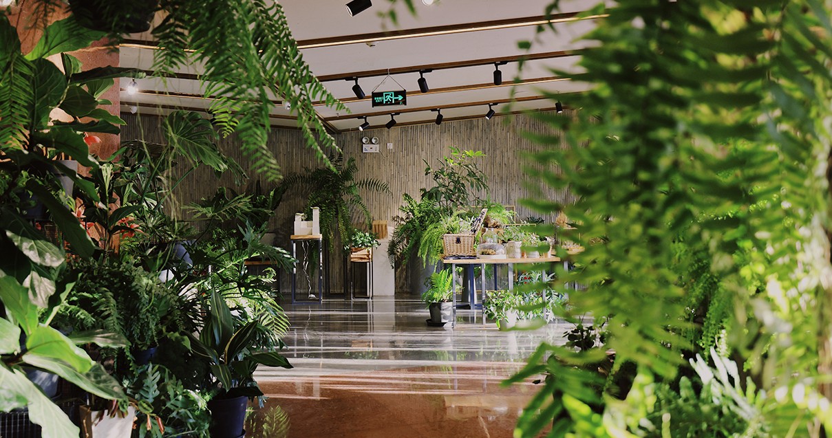 k8凯发奥莱·滇池幼镇